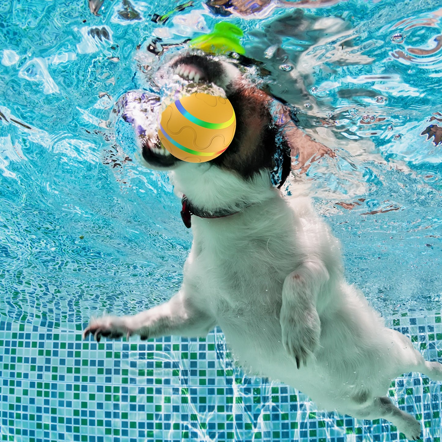 LED Pet Rotating Ball With Remote Control