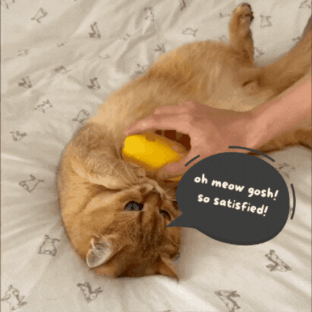 PetPamper™ Steam Groomer