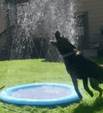 PupSplash™ - Cooling Sprinkler Pad