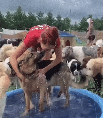 PupSplash™ - Cooling Sprinkler Pad