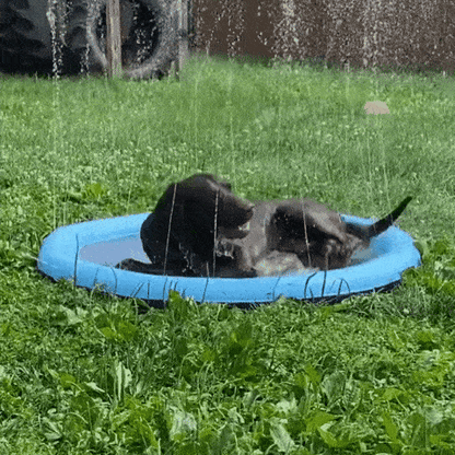 PupSplash™ - Cooling Sprinkler Pad